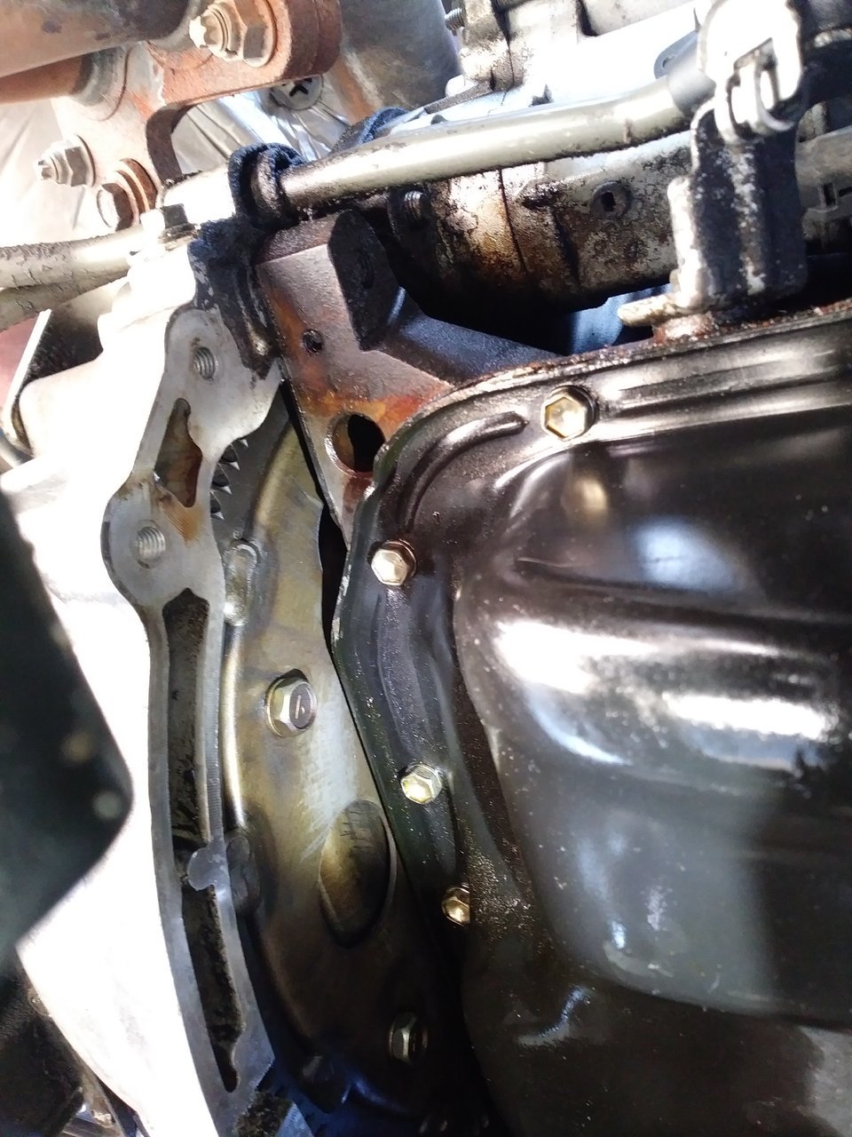 20180228_150929.jpg