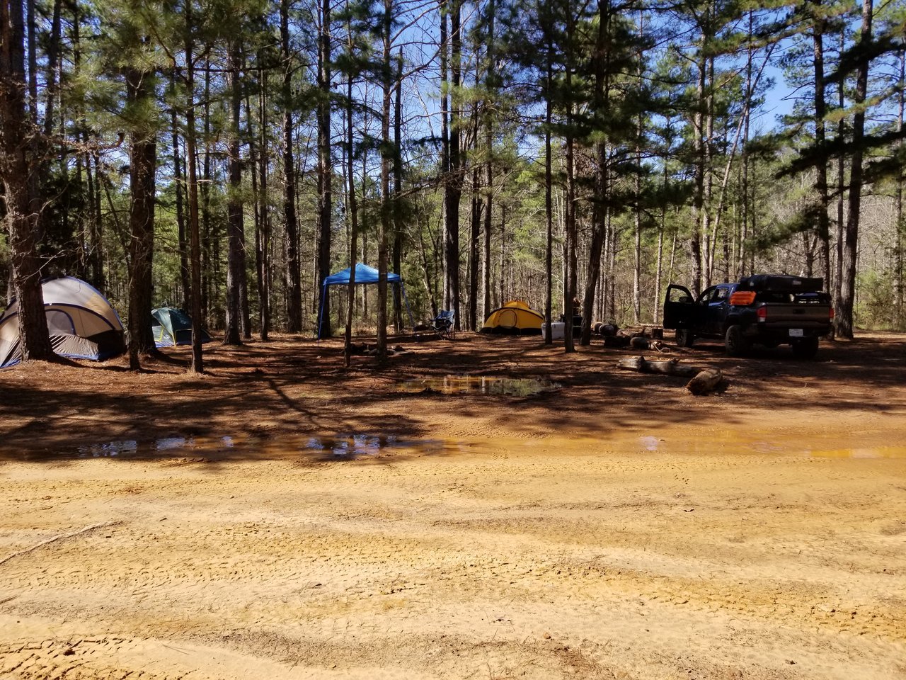 20180302_115908.jpg