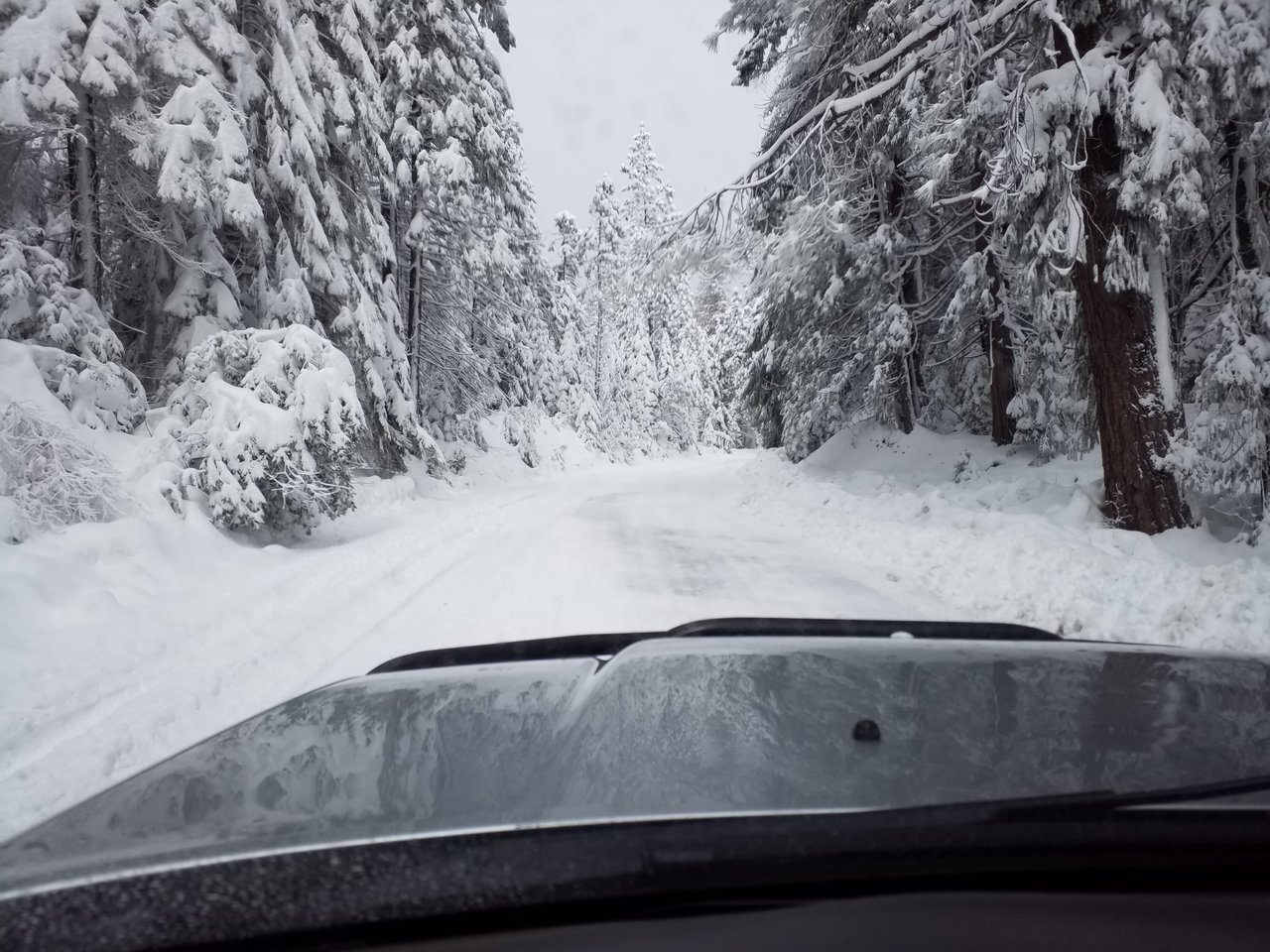 20180303_092514.jpg