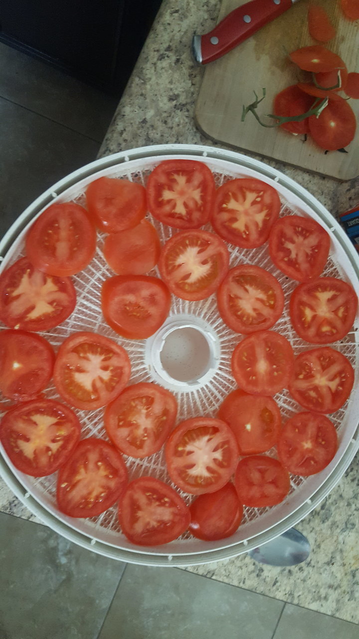 20180303_101808.jpg