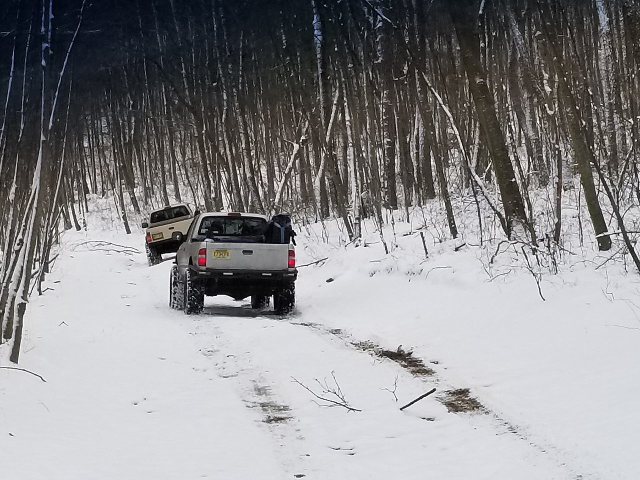 20180303_103703.jpg