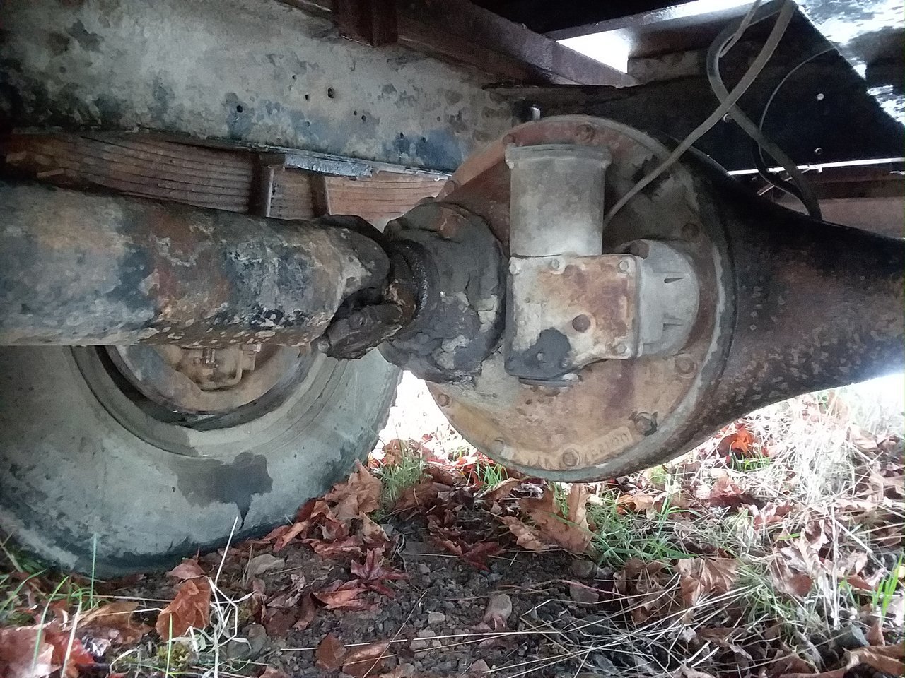 20180303_105101.jpg