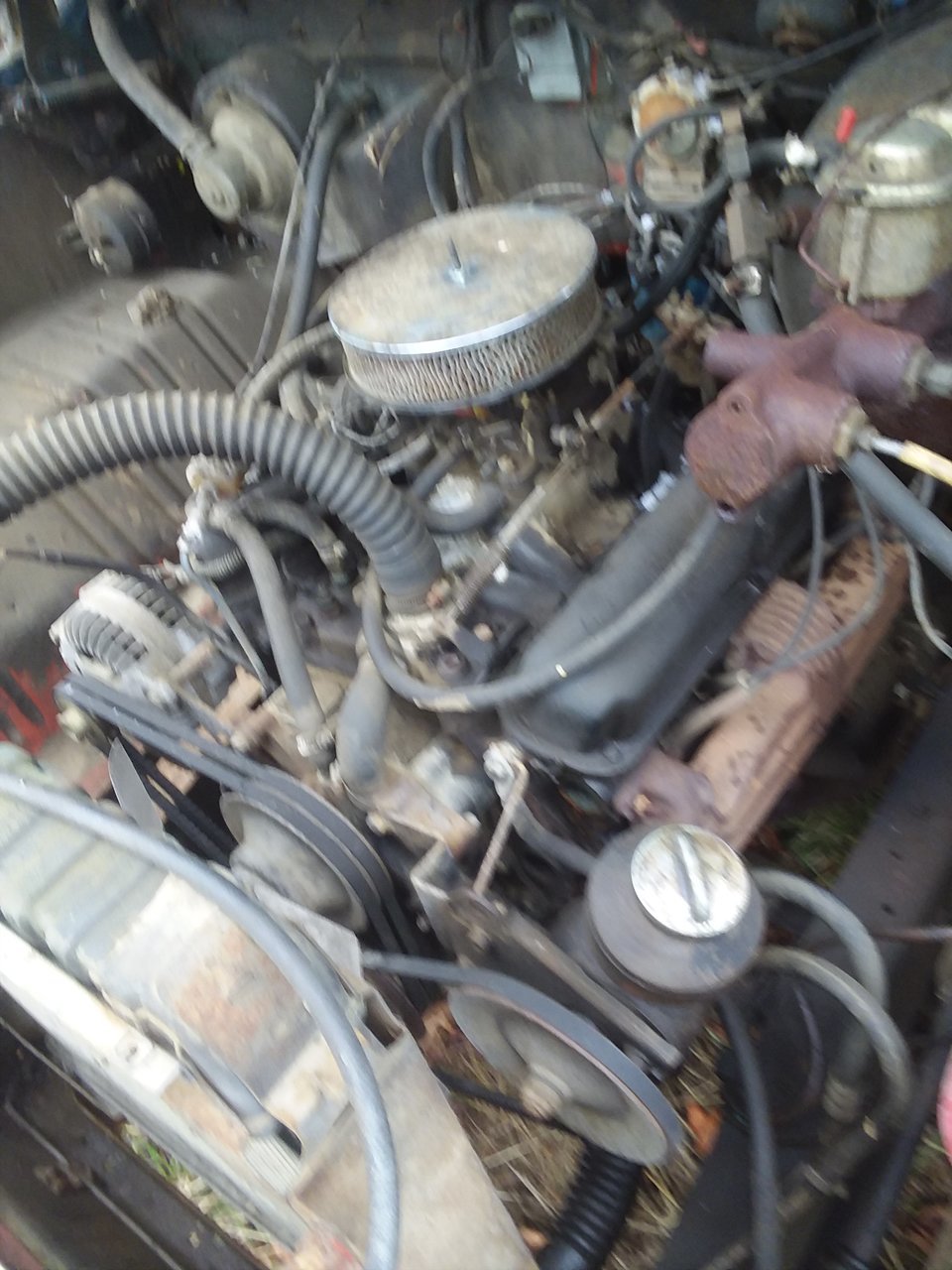 20180303_105258.jpg