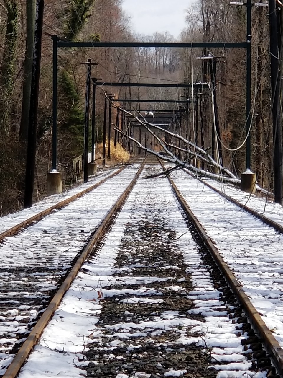 20180303_110524.jpg