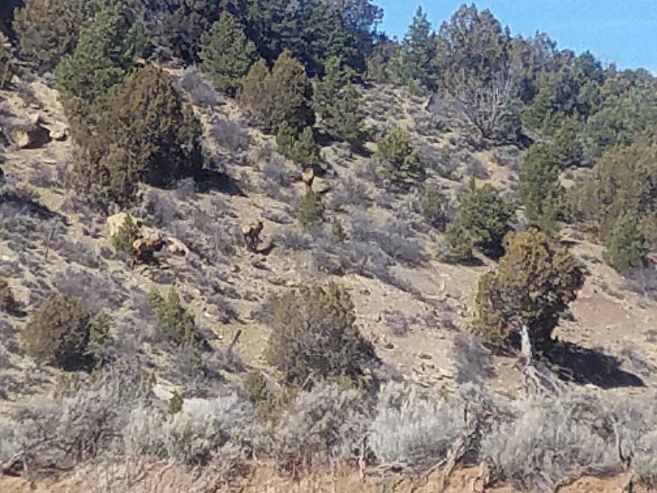 20180303_125906.jpg