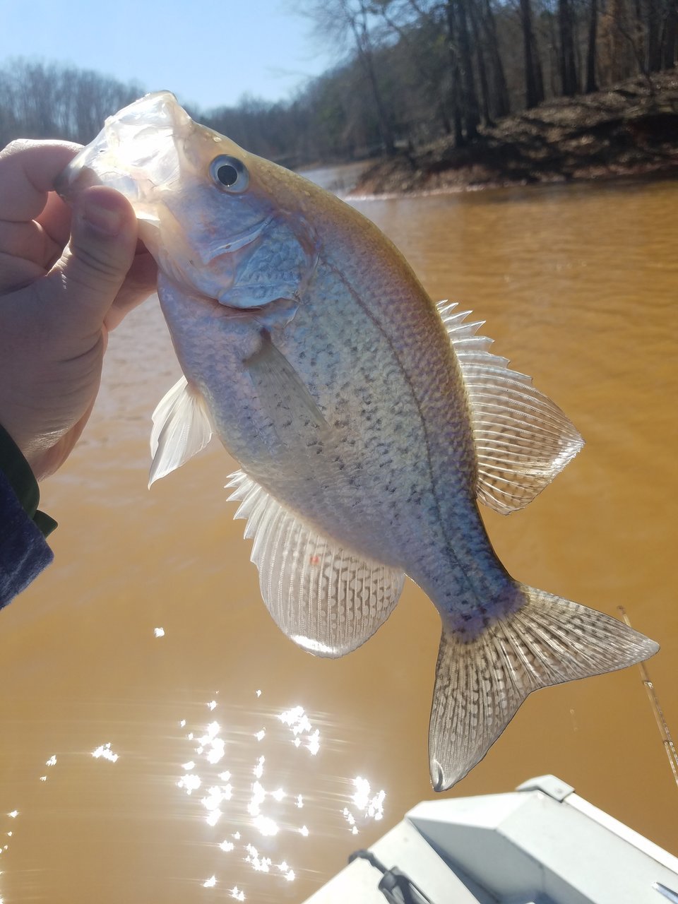 20180304_140229.jpg