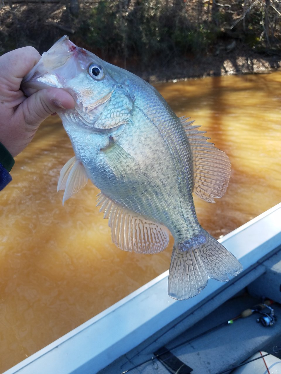 20180304_143406.jpg