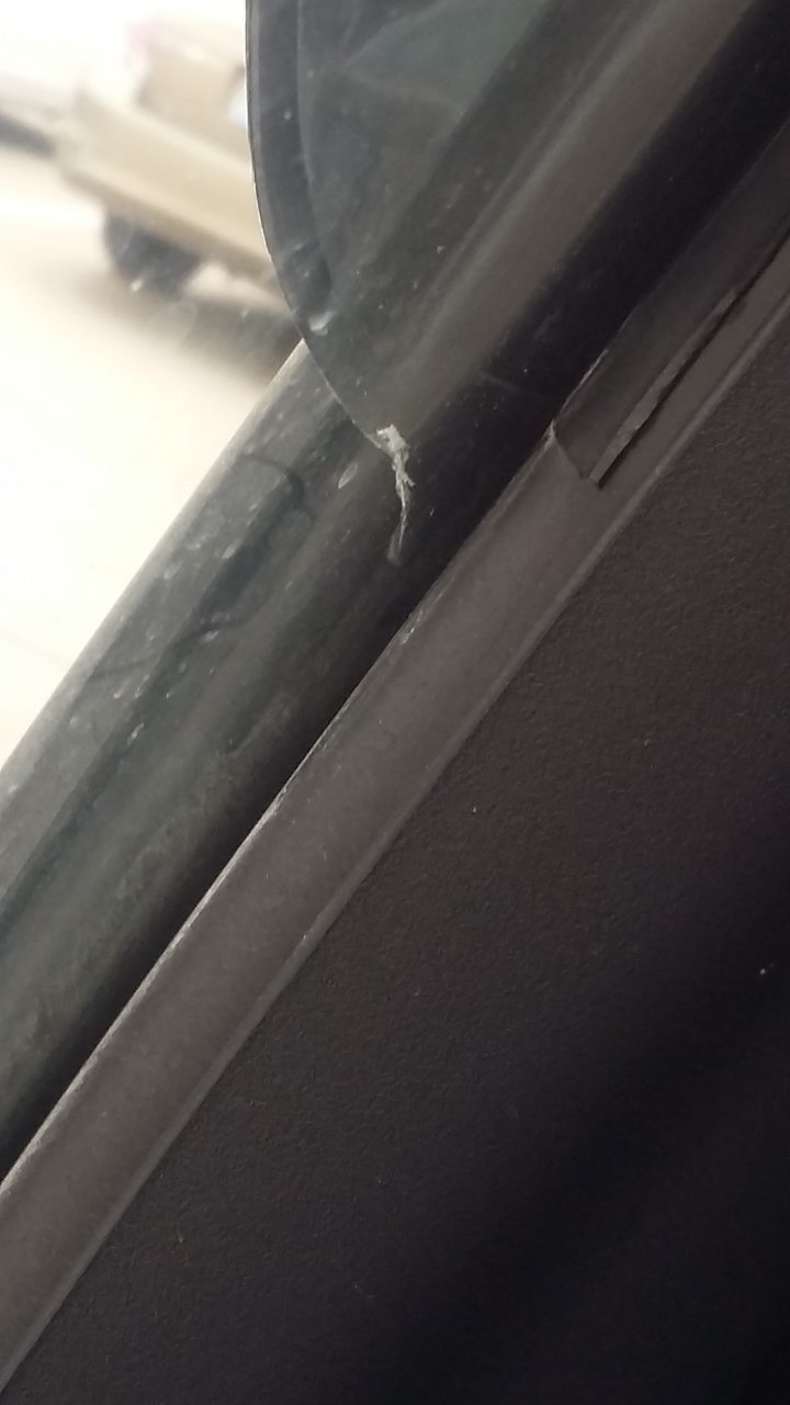 20180304_151950.jpg