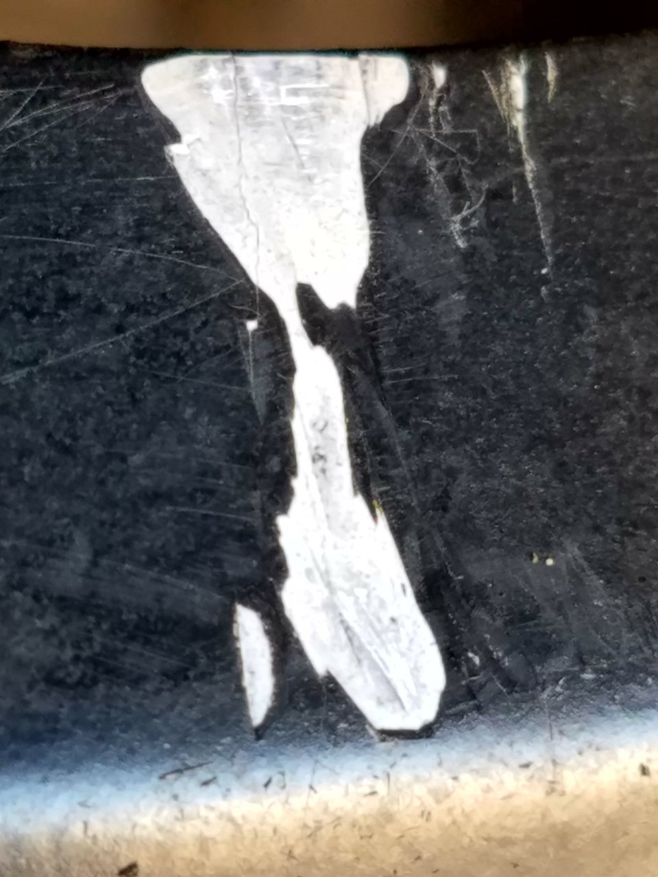 20180305_102156.jpg