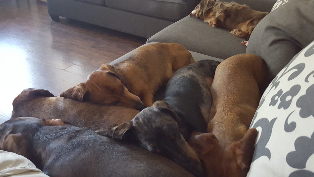 20180306_110508.jpg