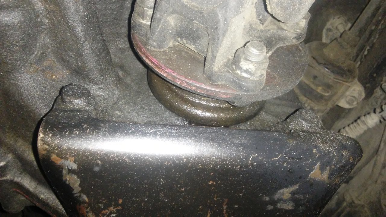 20180306_184402.jpg