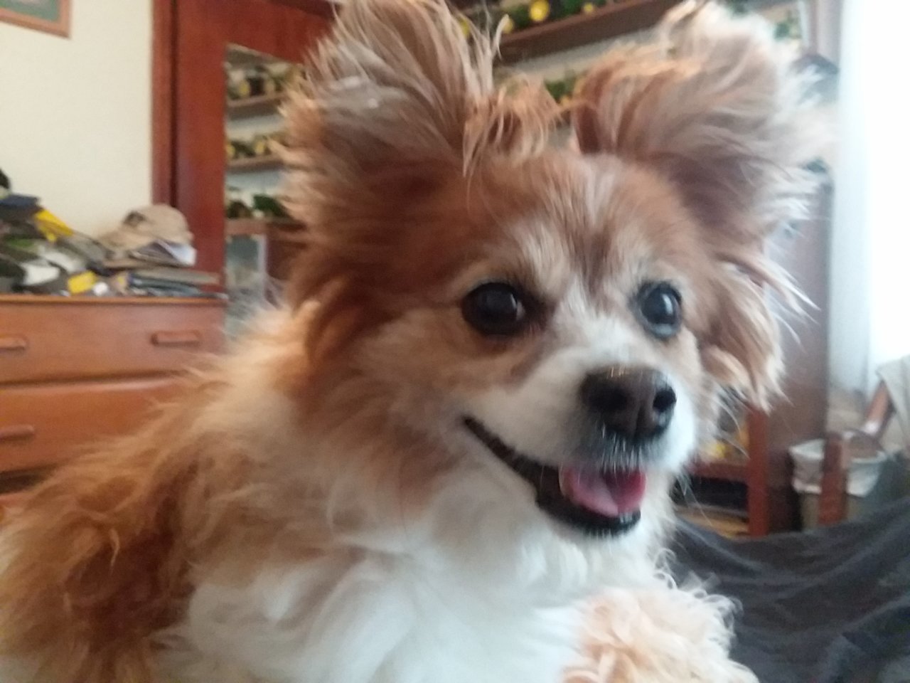 20180307_131611.jpg