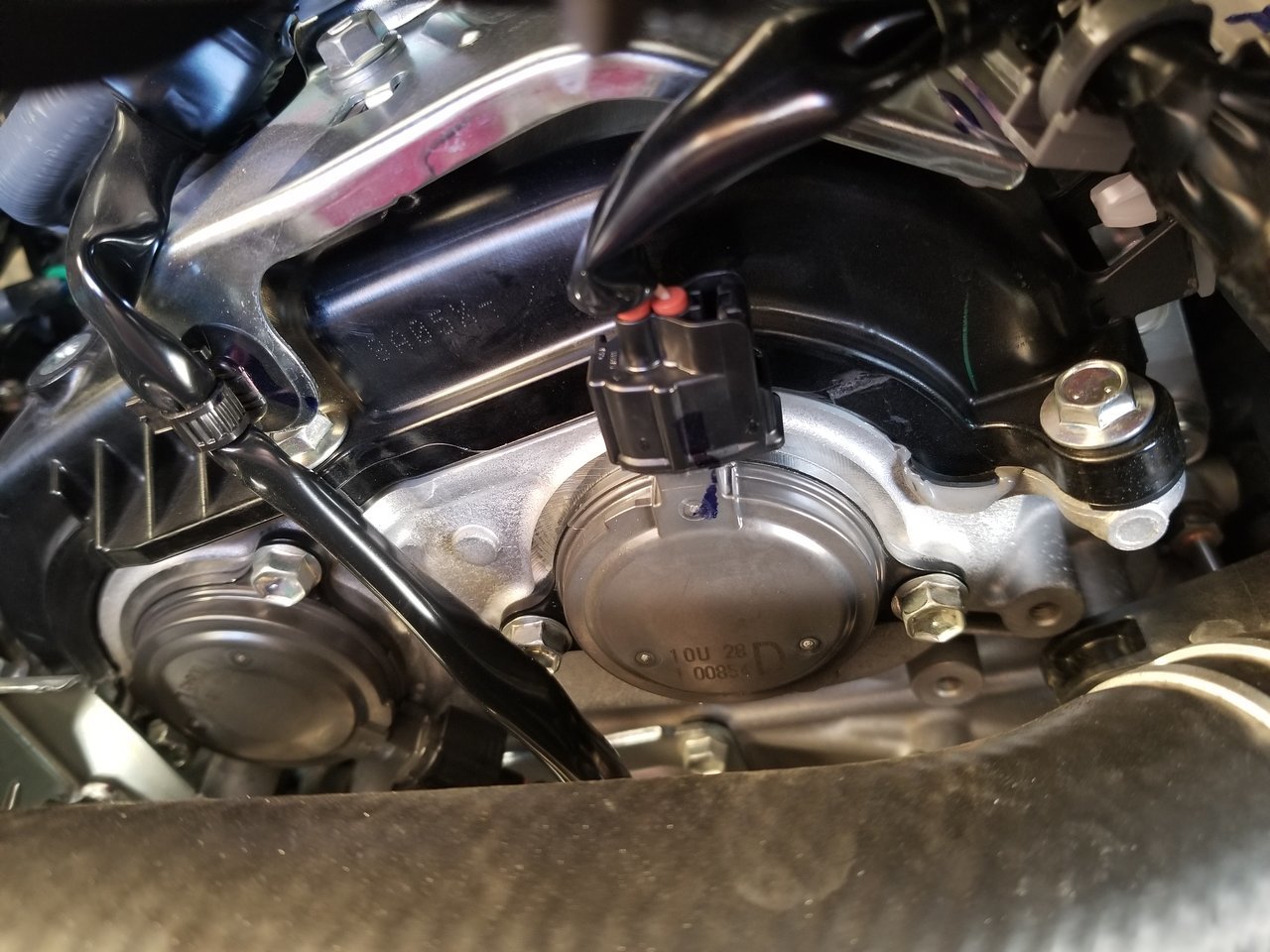 20180307_174903.jpg