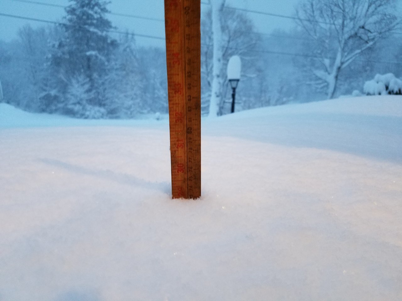 20180308_060803.jpg