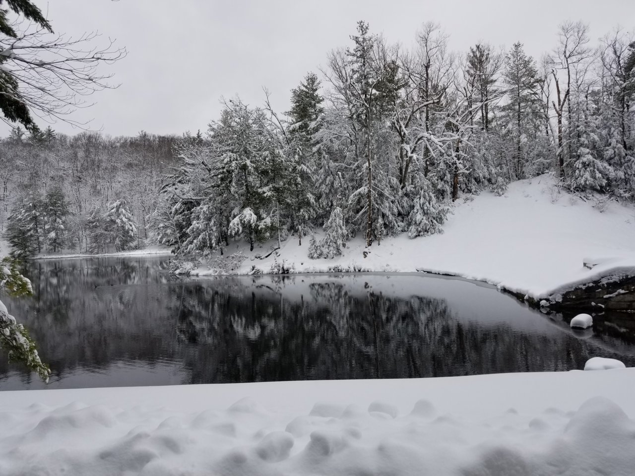 20180308_101423.jpg