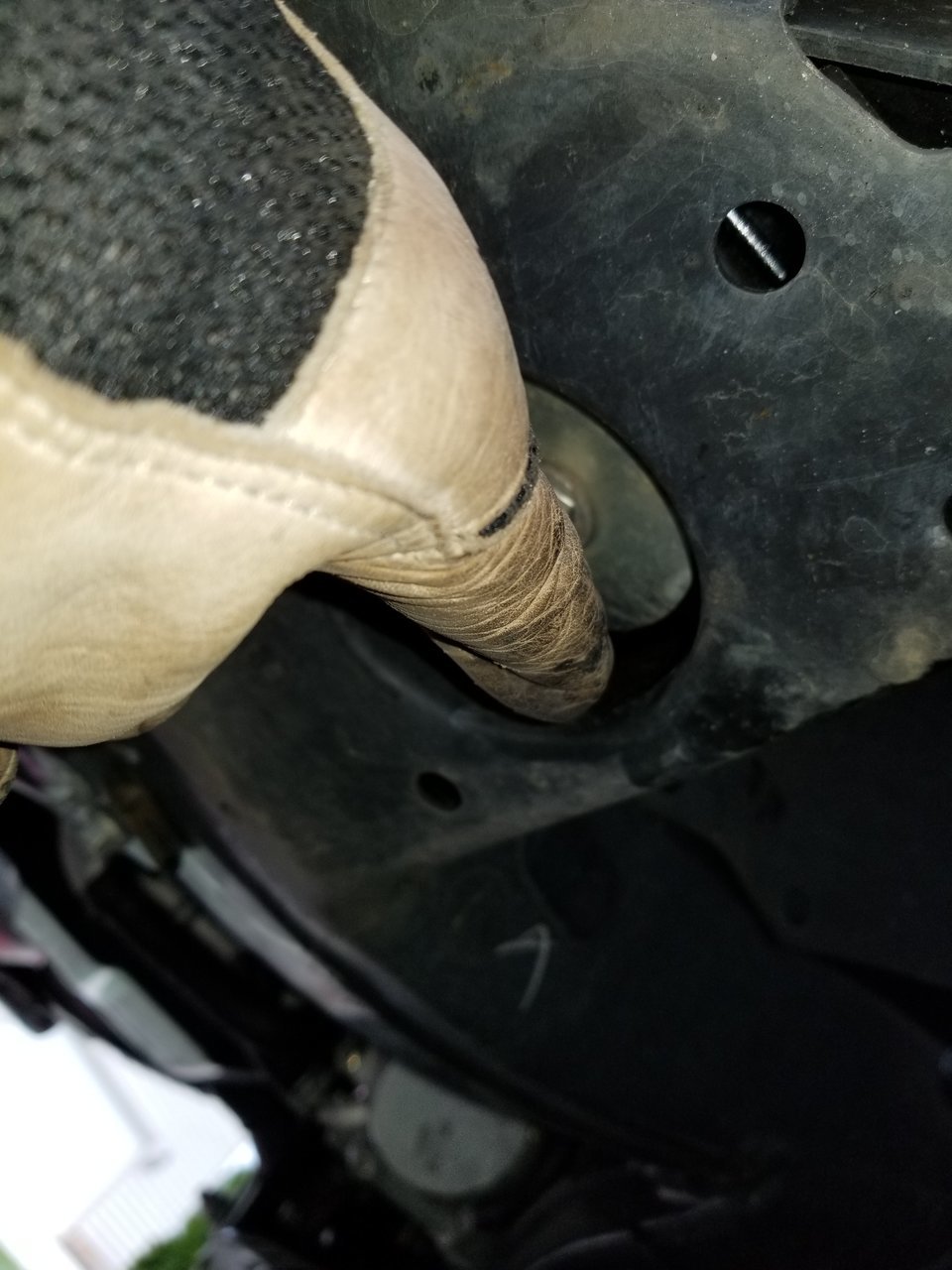20180308_113305.jpg