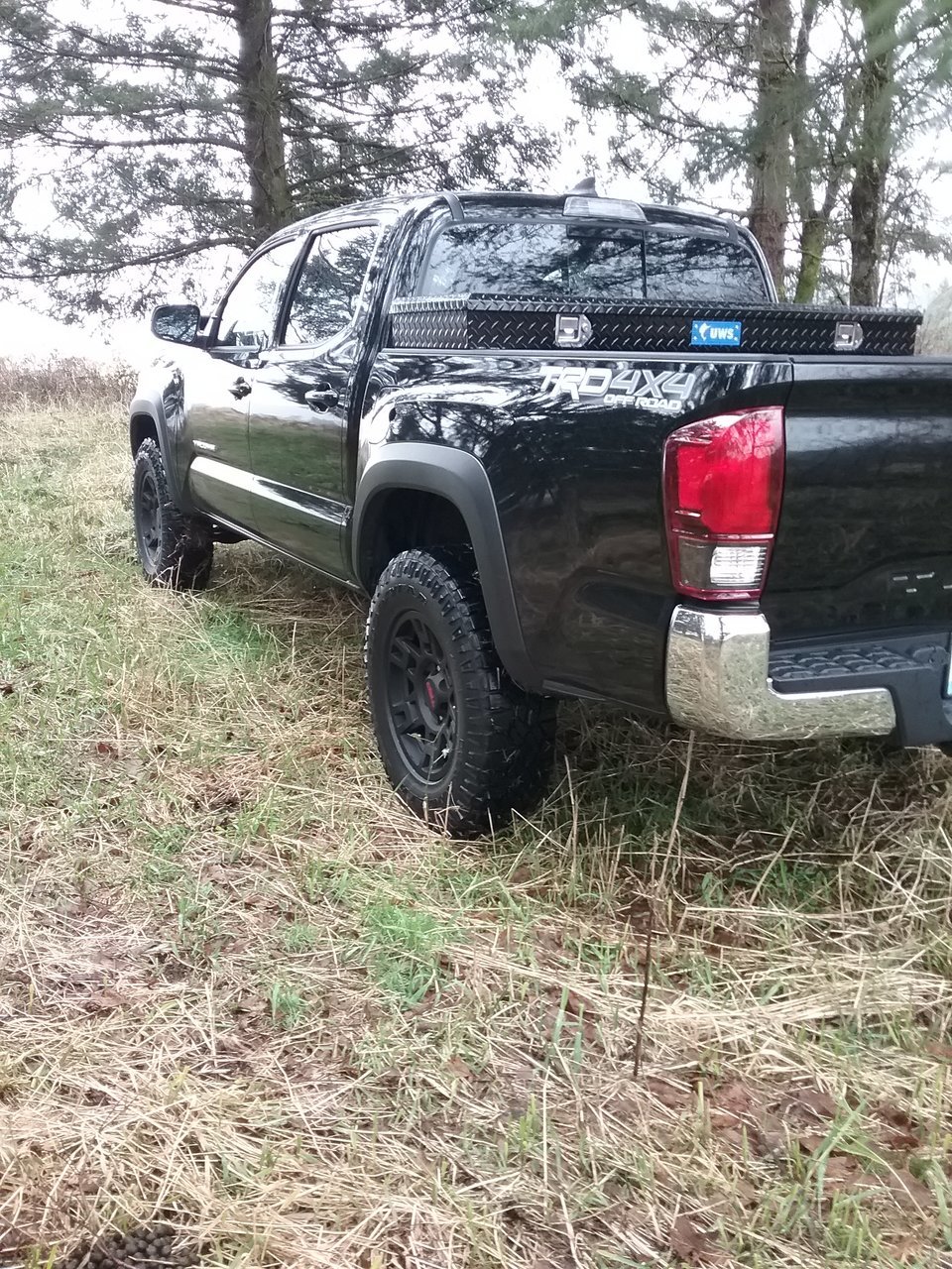 20180308_113731.jpg