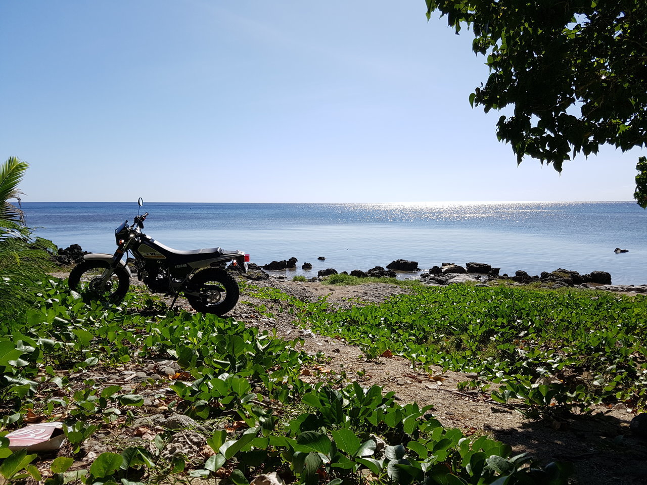 20180308_152420.jpg