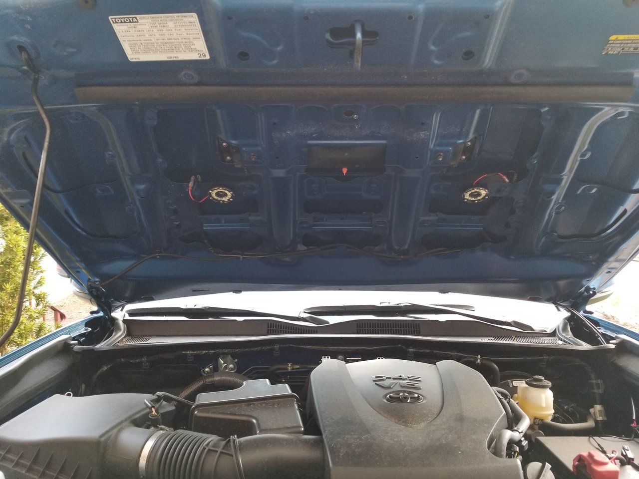 20180308_171347[1].jpg