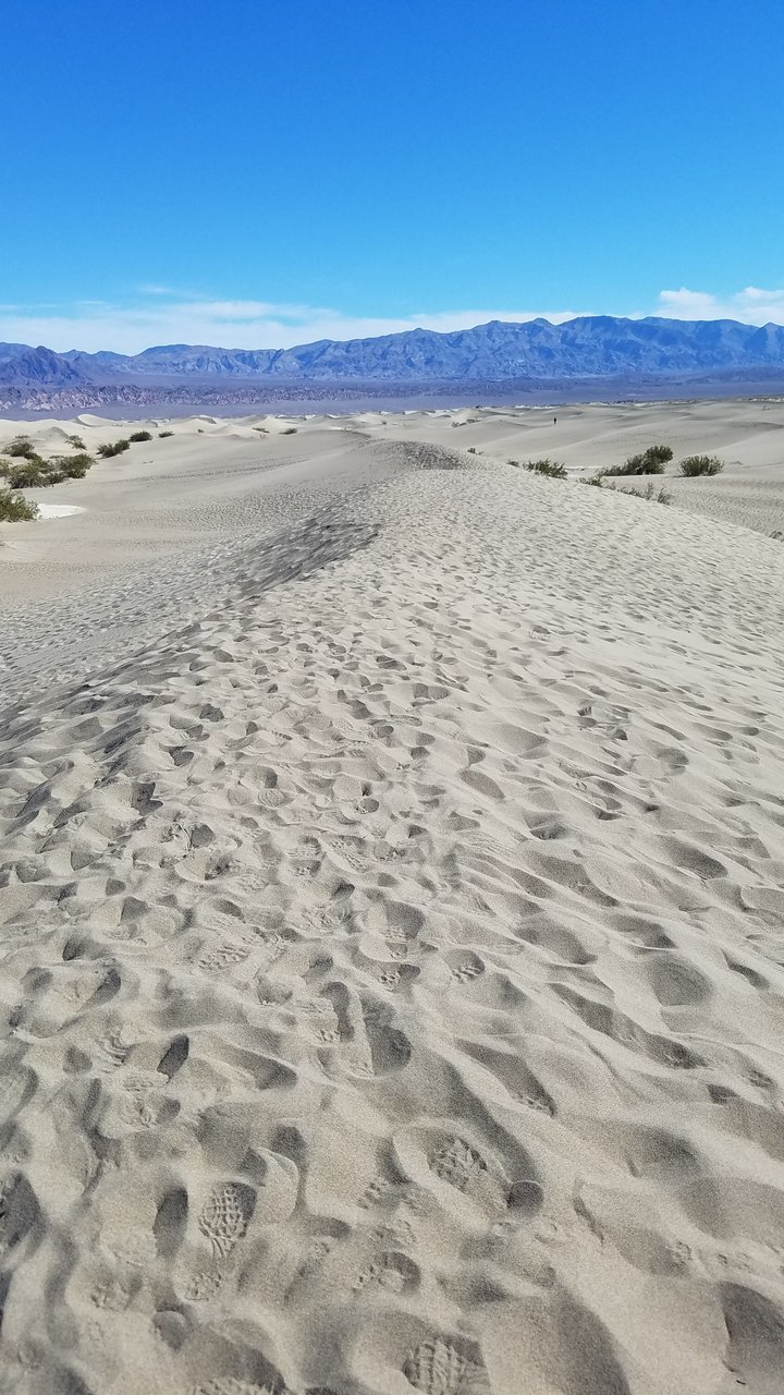 20180309_094223.jpg