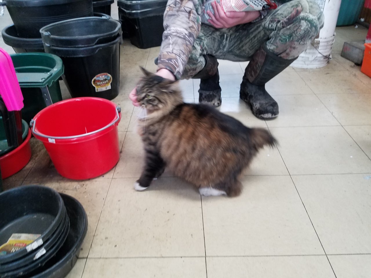 20180310_094910.jpg