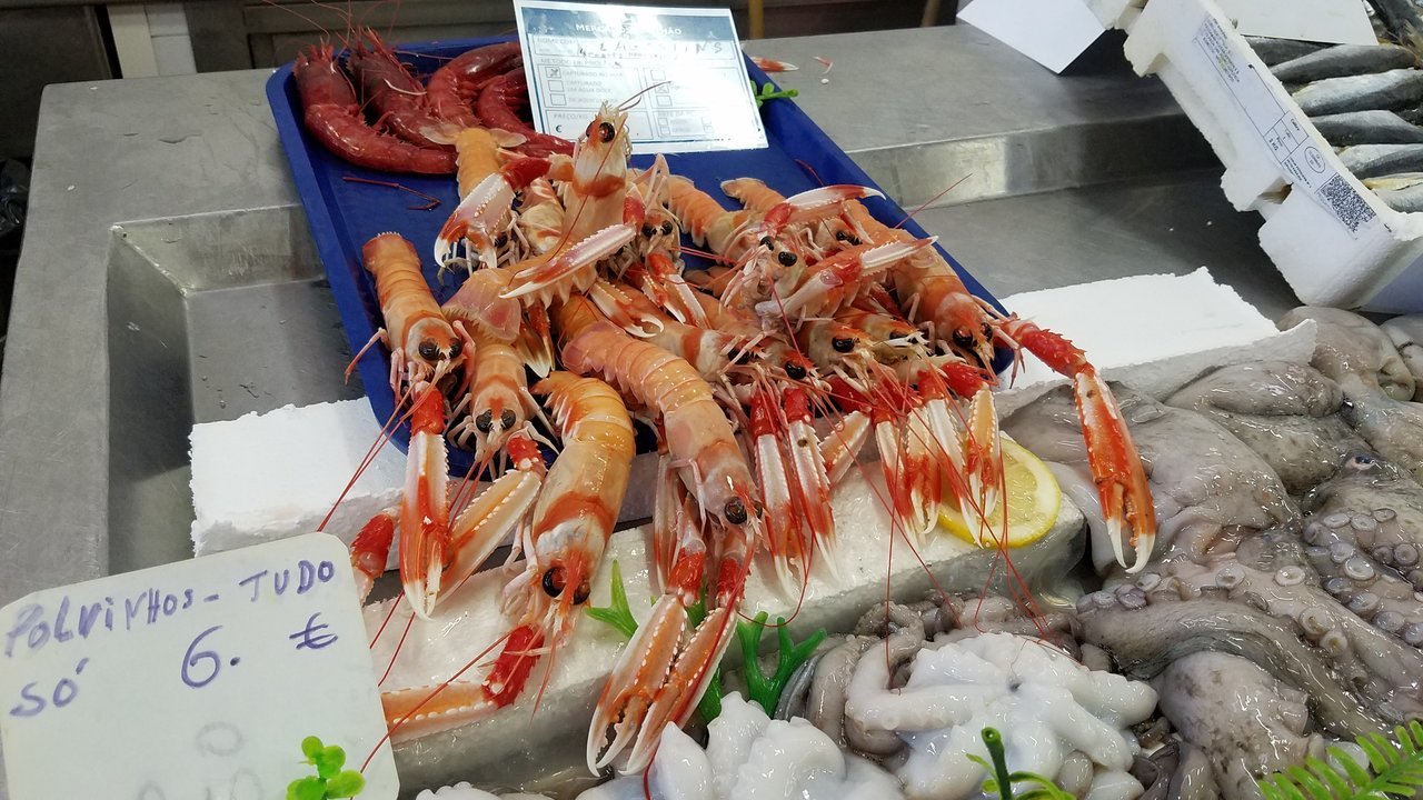 20180310_102103.jpg