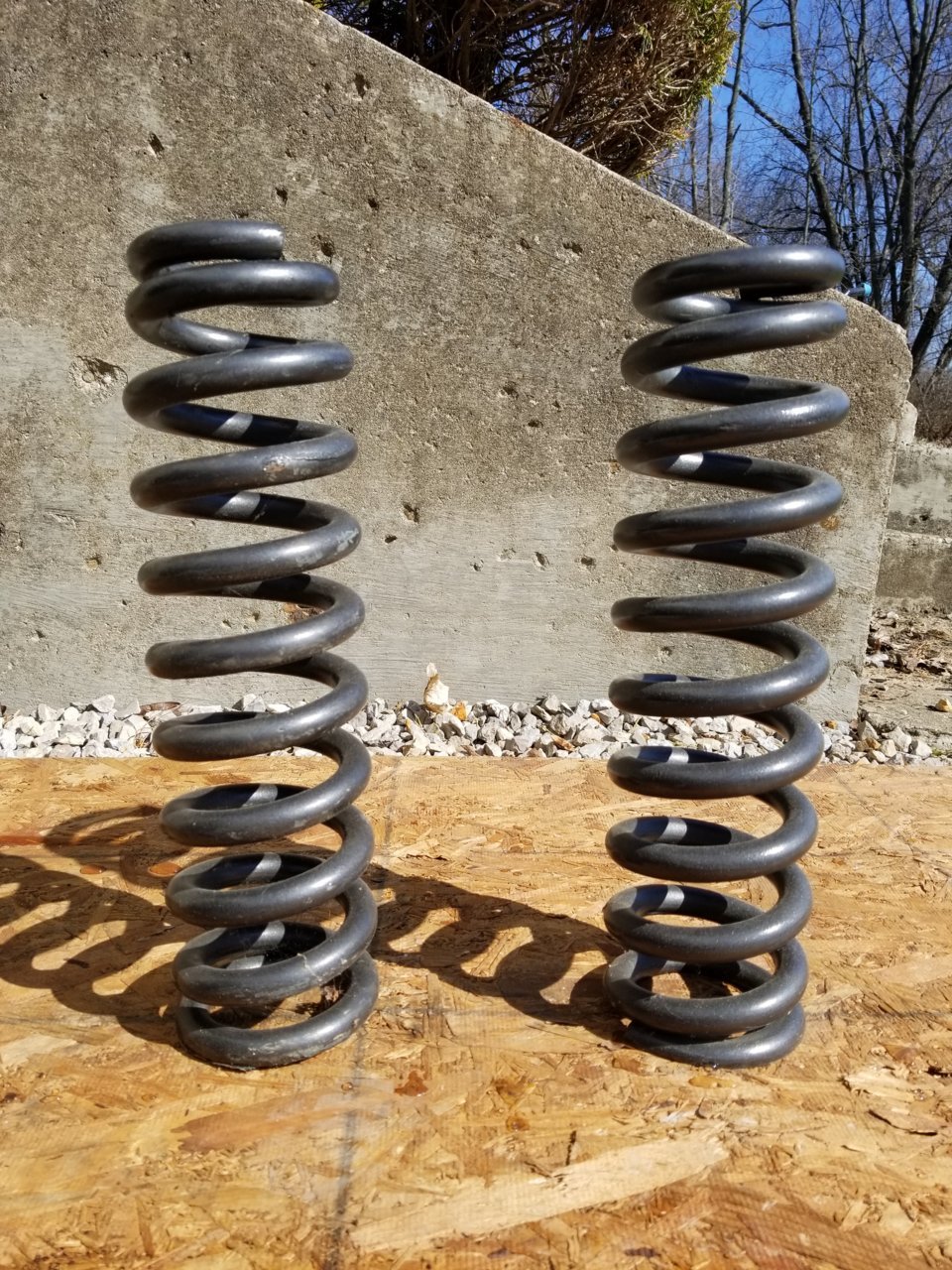 20180310_110657.jpg