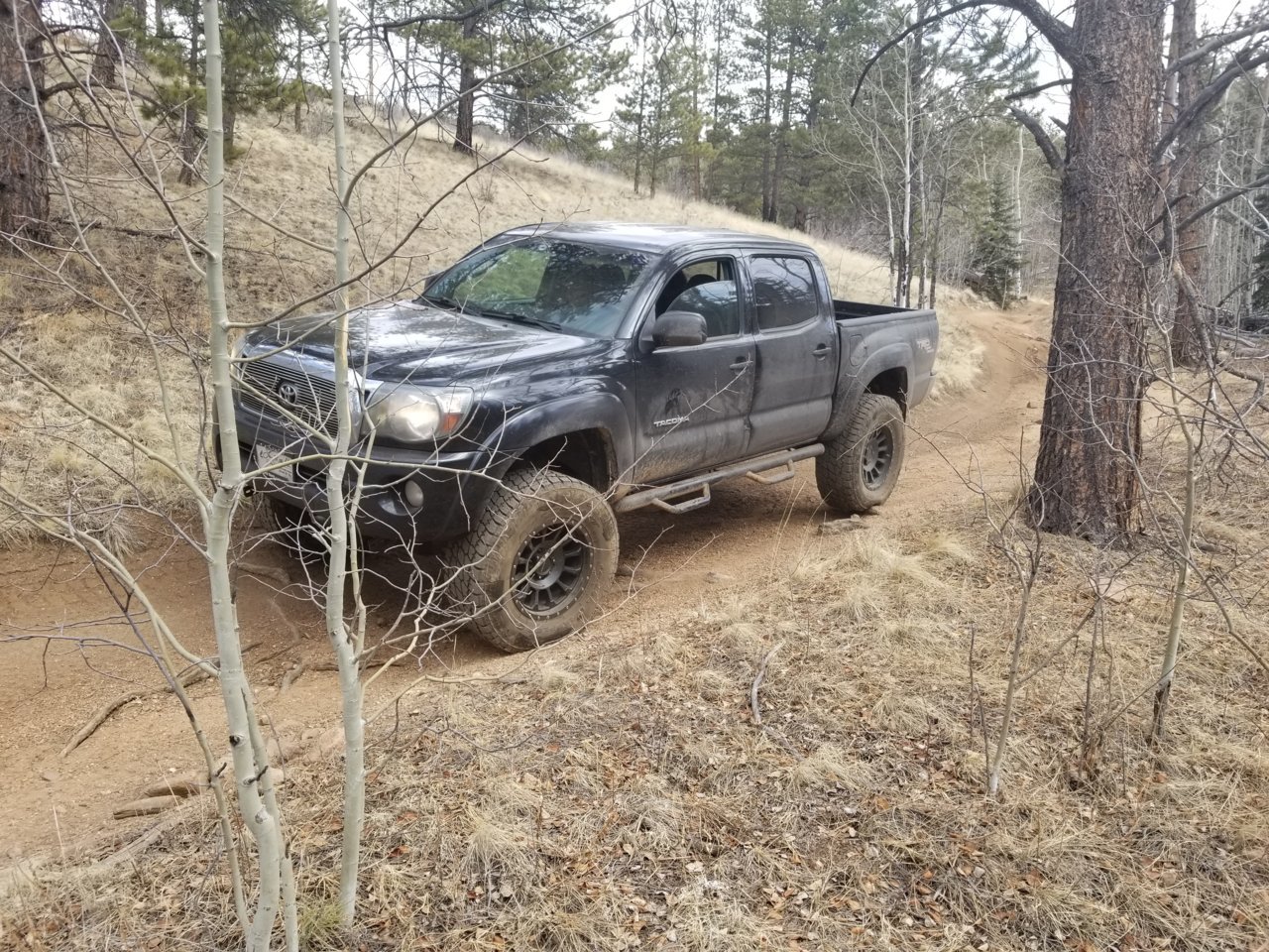 20180310_123709.jpg