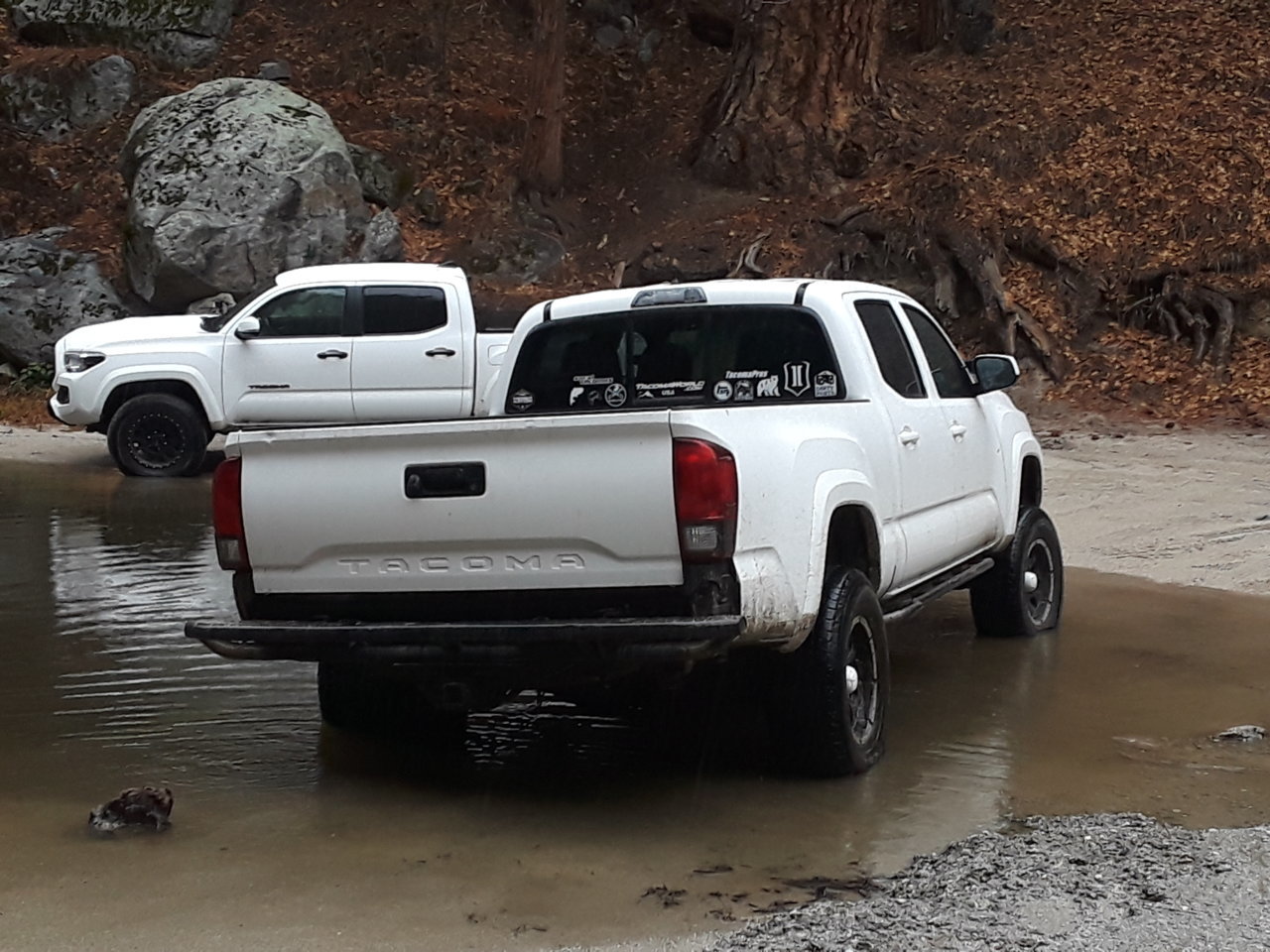 20180310_135231.jpg