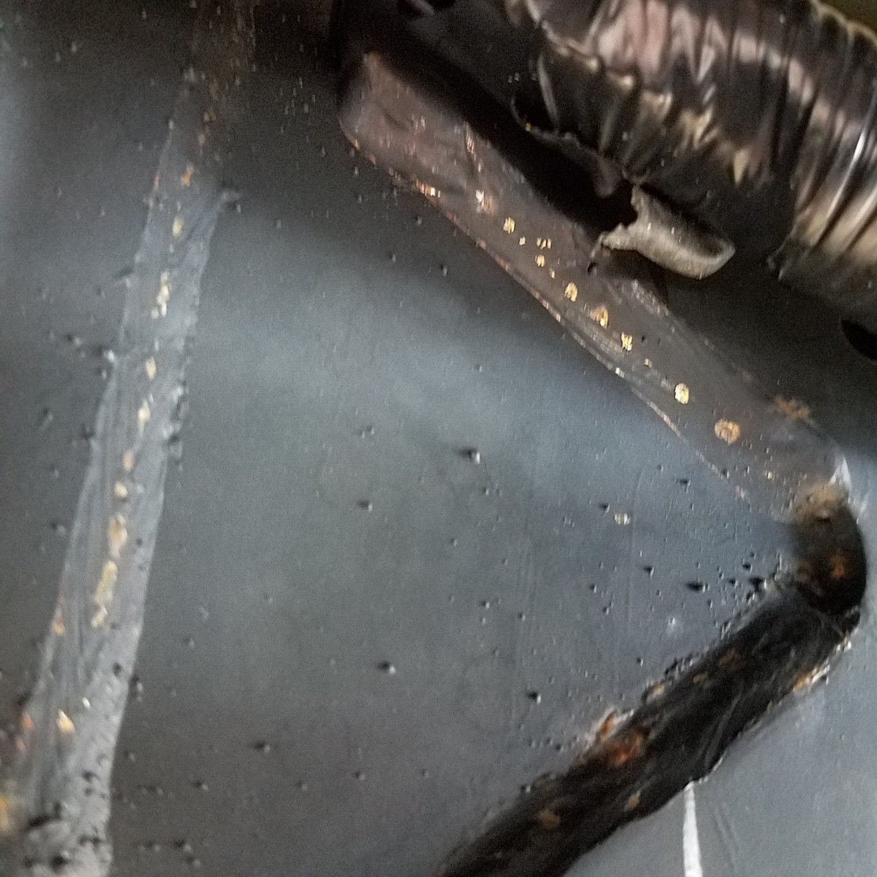 20180310_141115.jpg