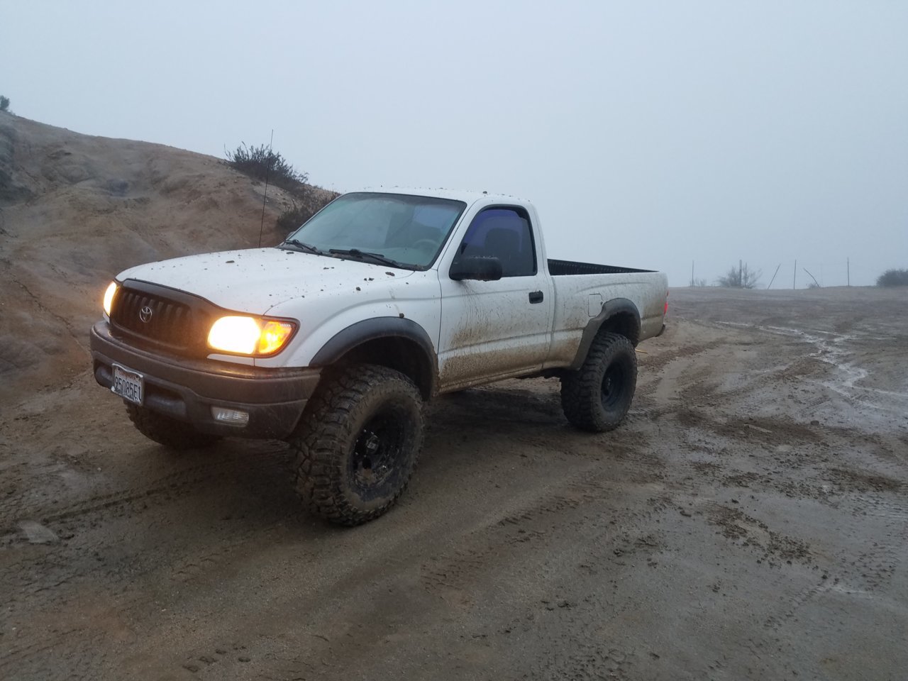 20180311_071656.jpg