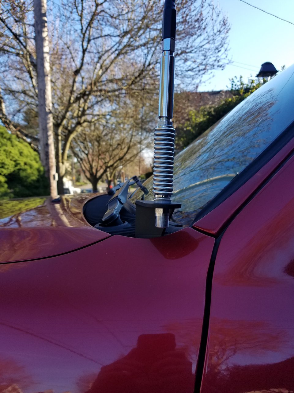 20180311_170549.jpg