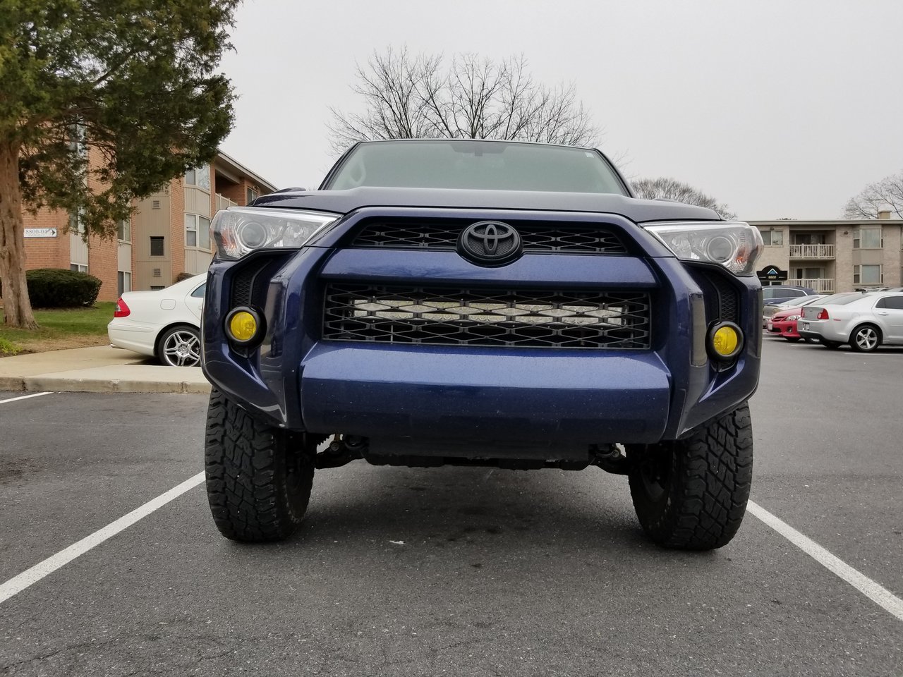 20180312_174126.jpg