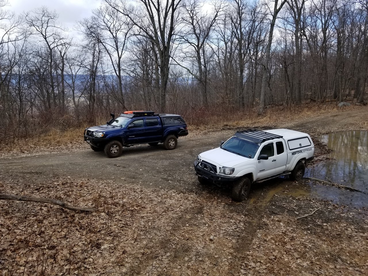 20180313_145139.jpg