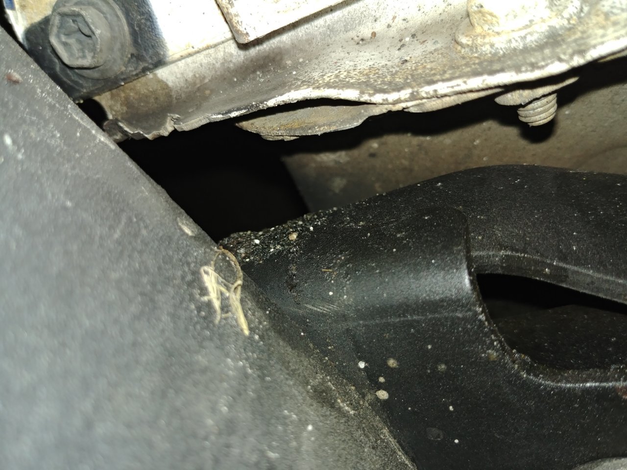 20180314_125855.jpg