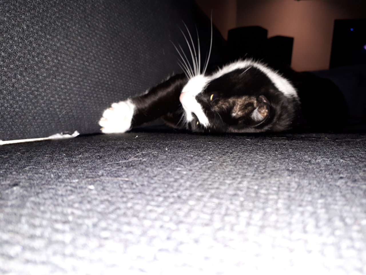 20180314_233933.jpg