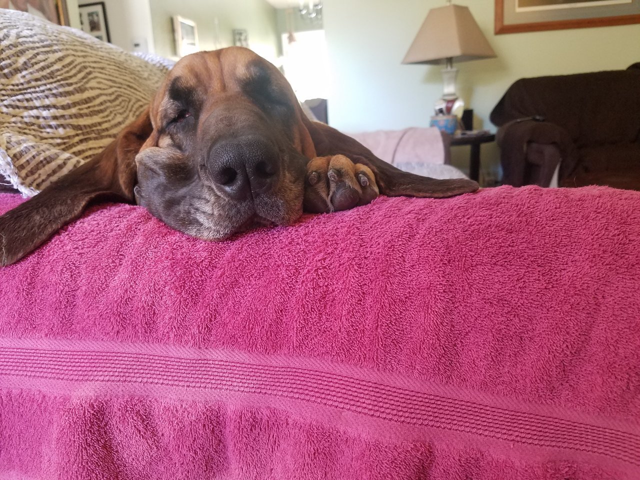 20180315_134244.jpg