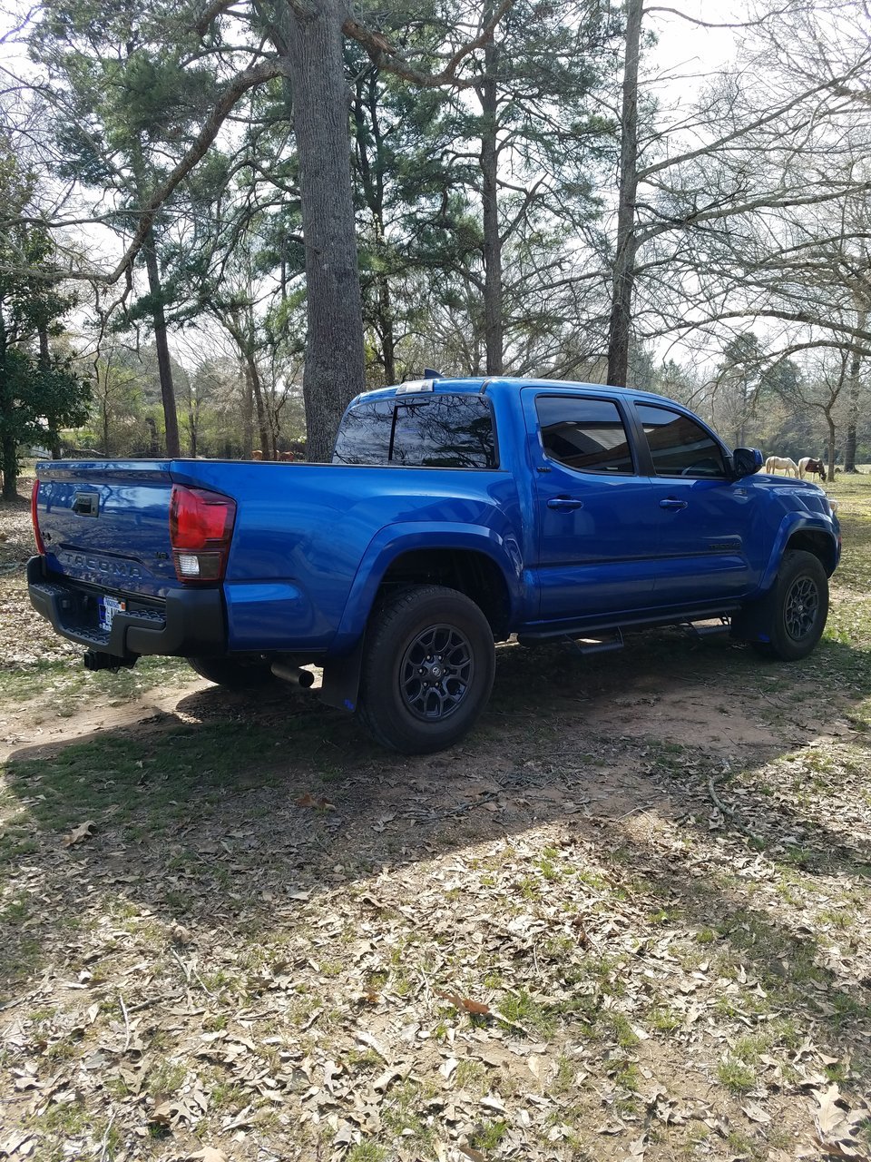 20180315_143148.jpg