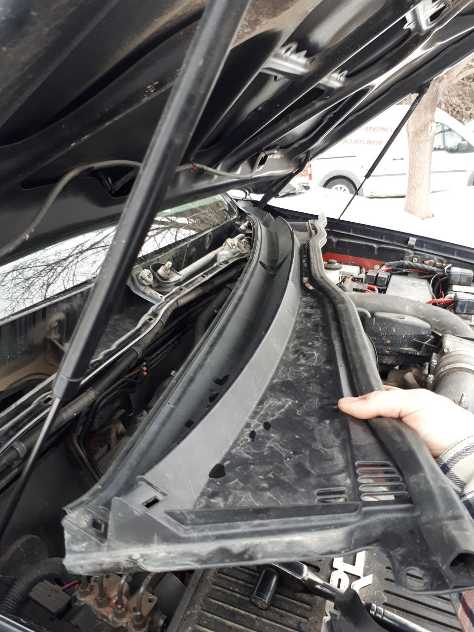 20180315_173812.jpg