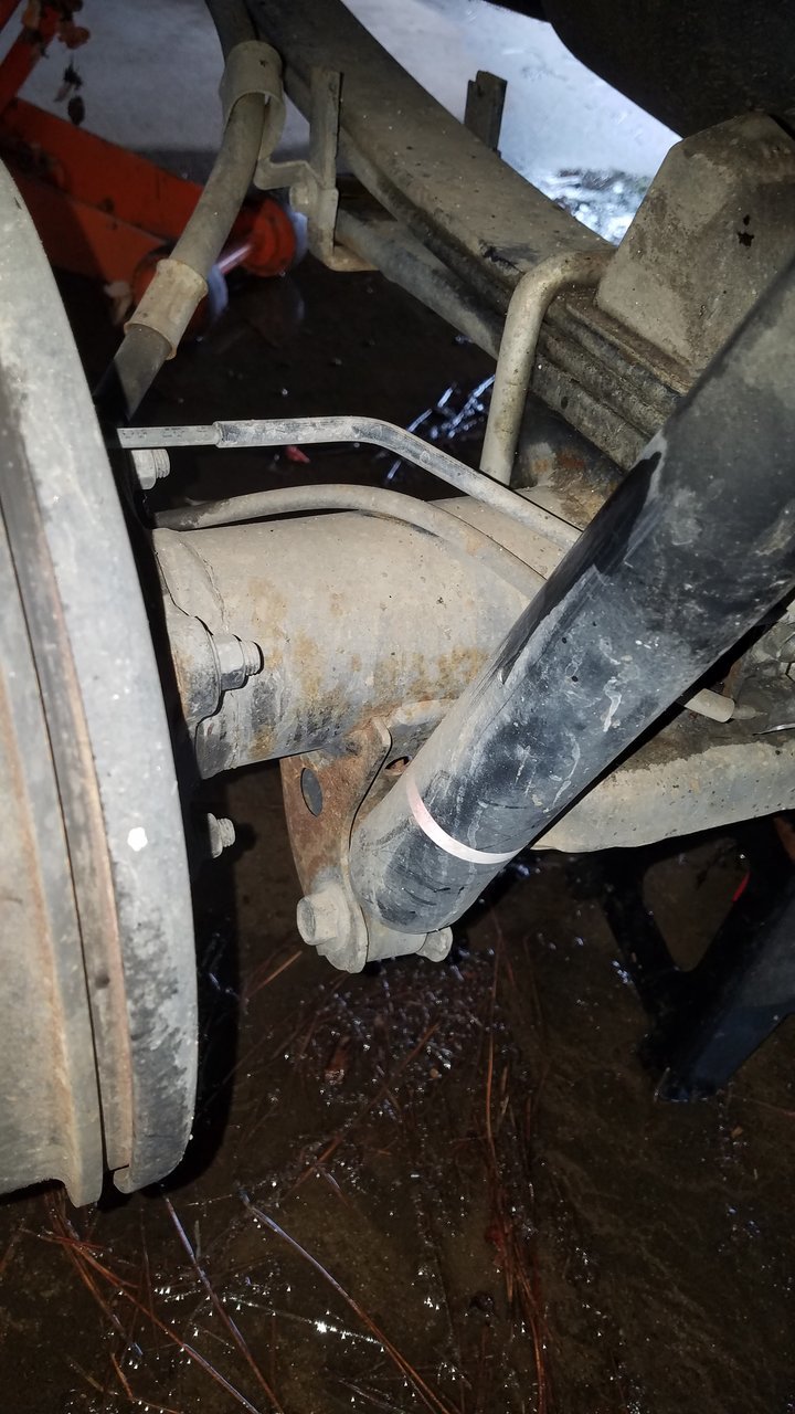 20180316_114215.jpg