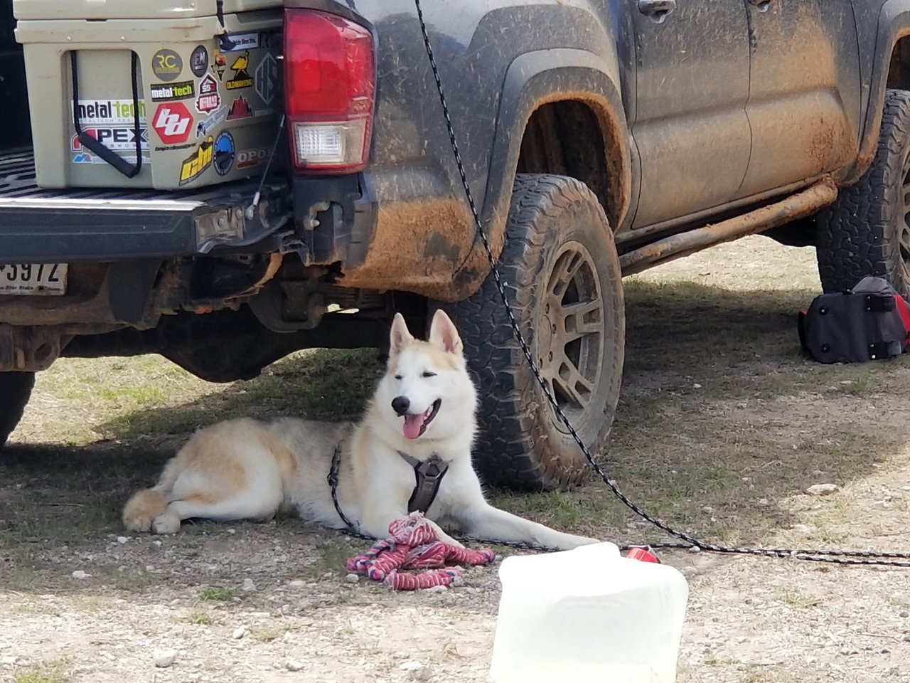 20180316_135809[1].jpg