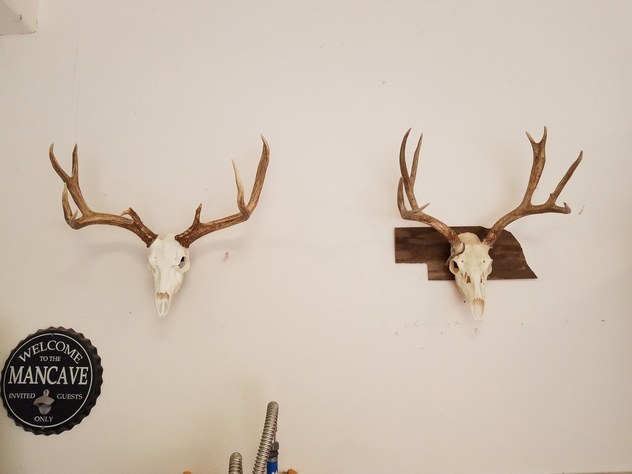 20180316_185628.jpg