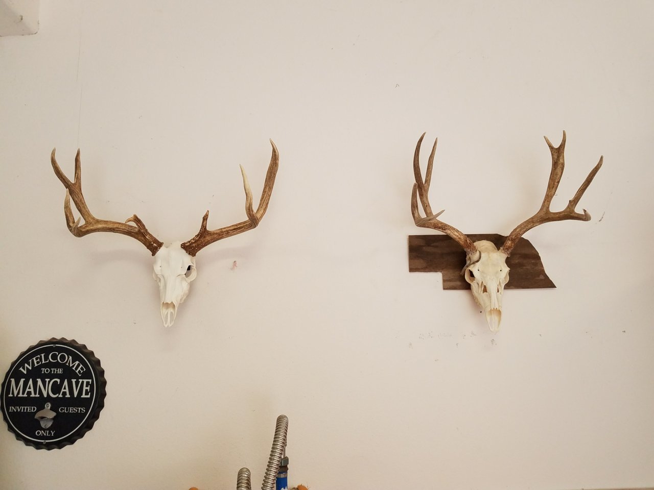 20180316_185628.jpg