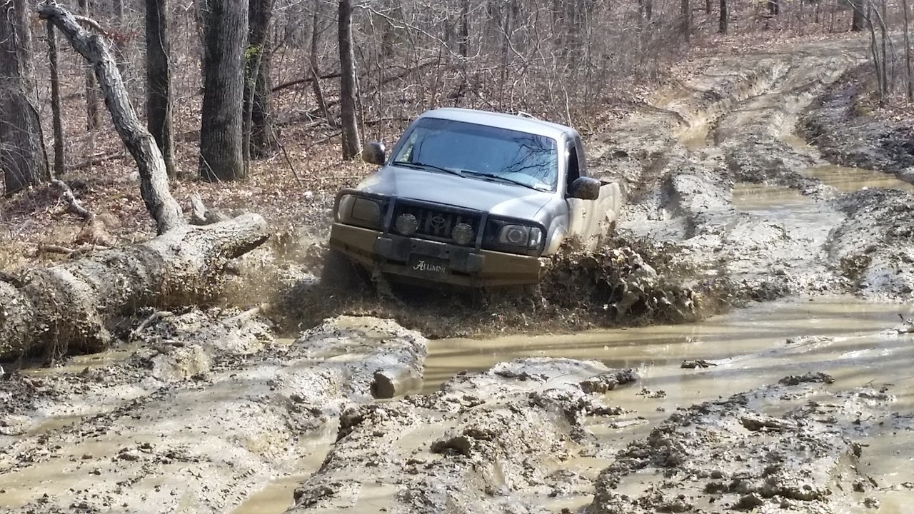 20180317_113426.jpg