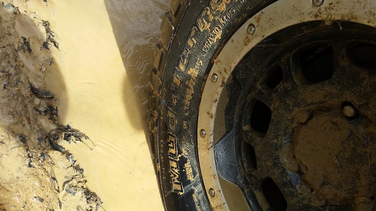 20180317_114342.jpg
