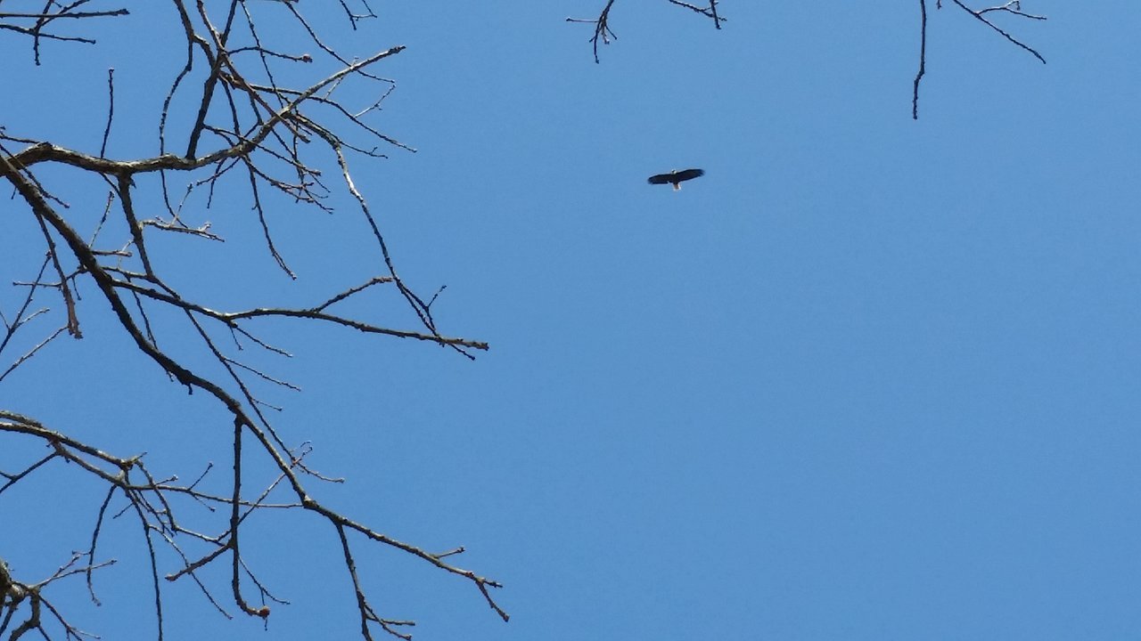 20180317_140212.jpg