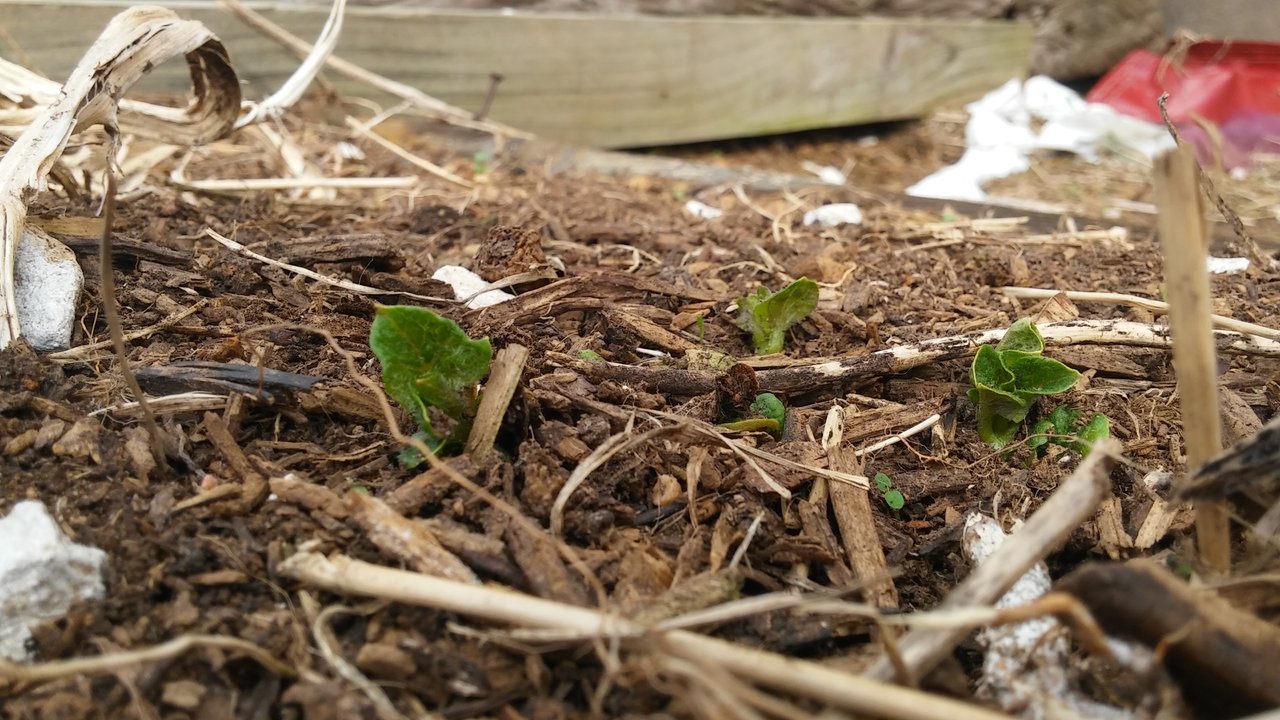 20180317_151759.jpg
