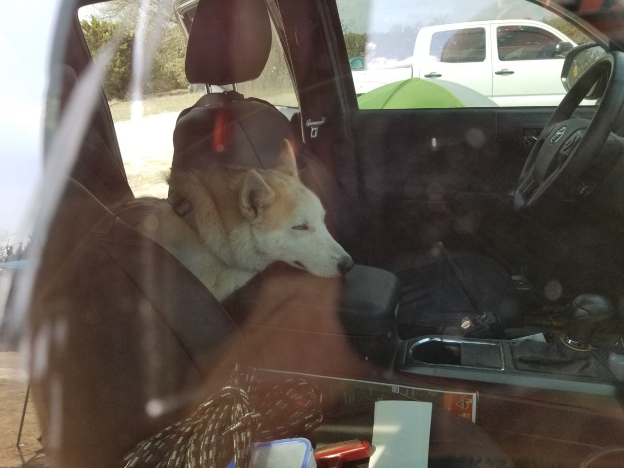 20180317_154331.jpg