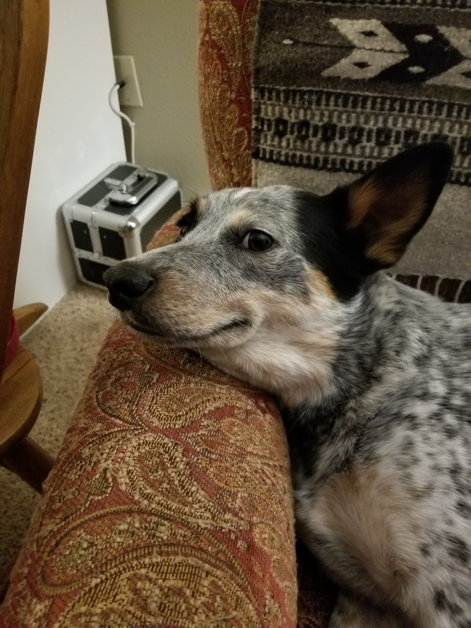 20180317_215743.jpg
