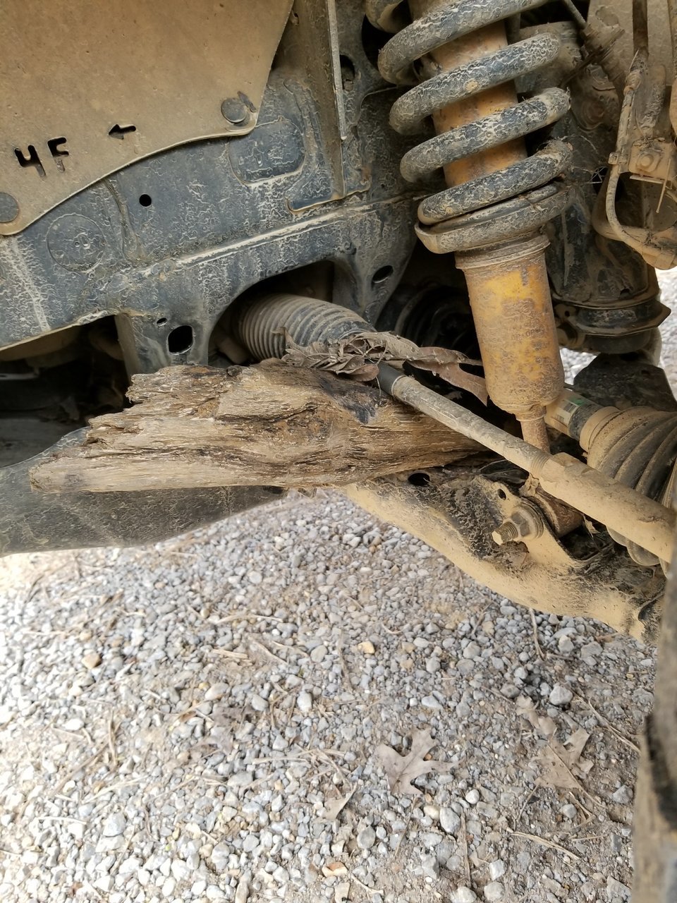 20180318_102939.jpg